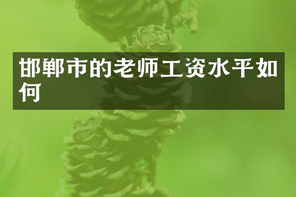 邯郸市的老师工资水平如何