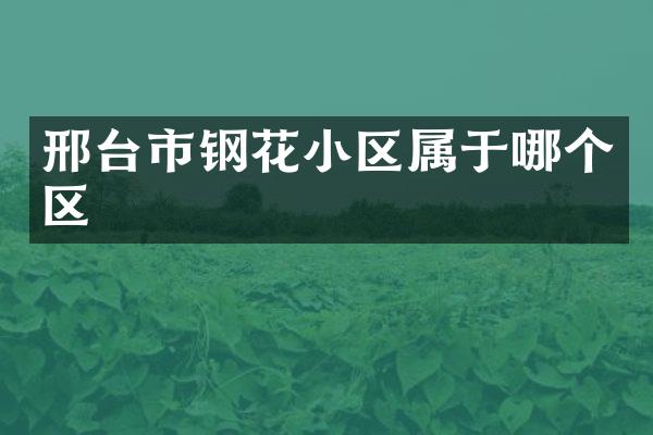 邢台市钢花小区属于哪个区