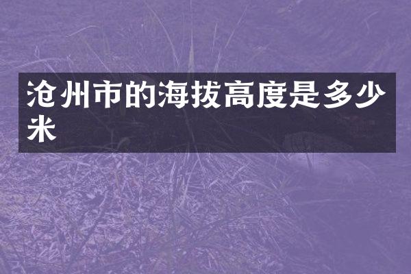 沧州市的海拔高度是多少米