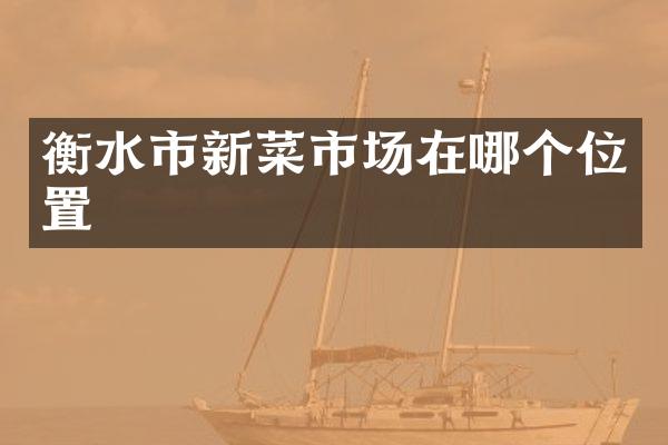 衡水市新菜市场在哪个位置