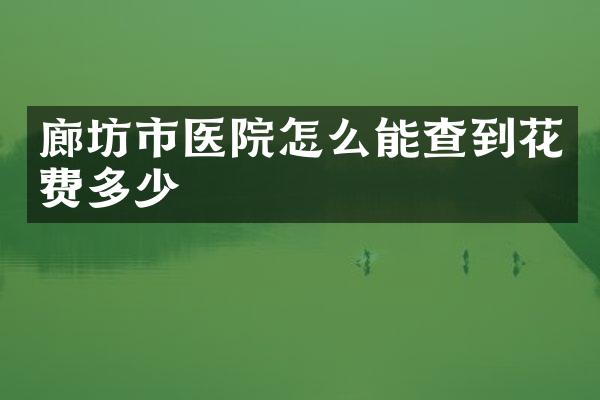廊坊市医院怎么能查到花费多少