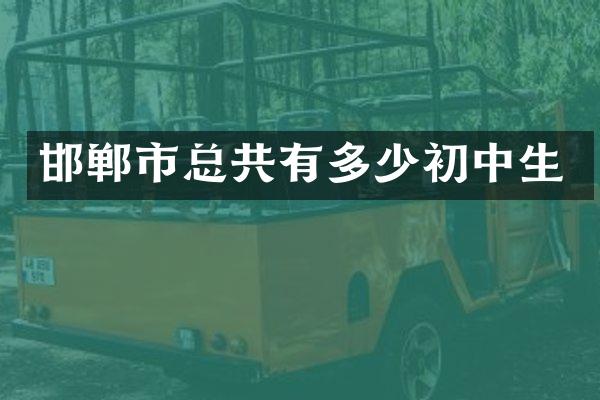 邯郸市总共有多少初中生