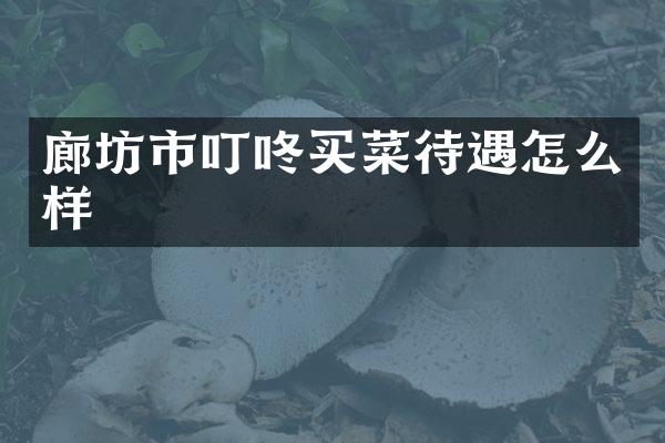 廊坊市叮咚买菜待遇怎么样
