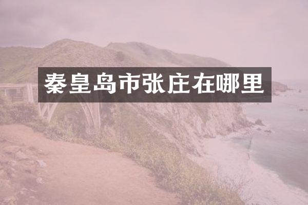秦皇岛市张庄在哪里