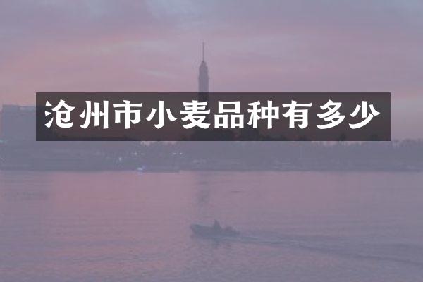 沧州市小麦品种有多少