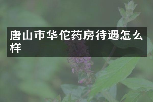 唐山市华佗药房待遇怎么样
