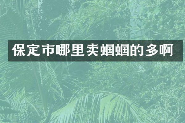 保定市哪里卖蝈蝈的多啊