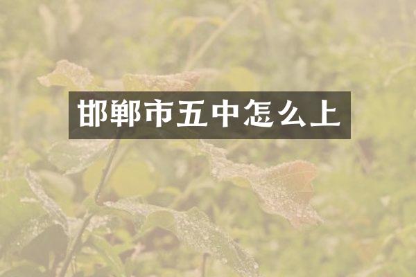 邯郸市五中怎么上