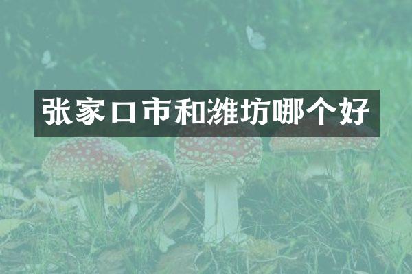 张家口市和潍坊哪个好