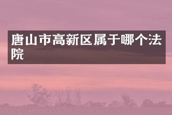 唐山市高新区属于哪个法院