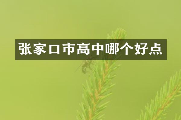 张家口市高中哪个好点