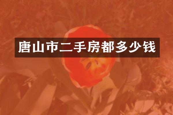 唐山市二手房都多少钱