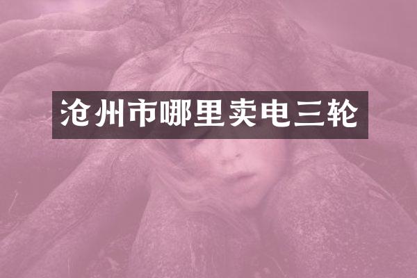 沧州市哪里卖电三轮