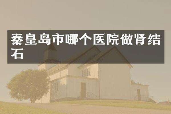 秦皇岛市哪个医院做肾结石
