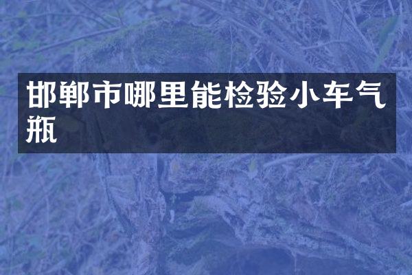 邯郸市哪里能检验小车气瓶