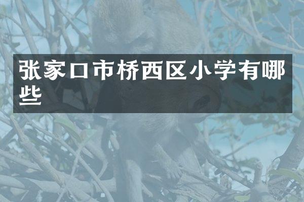 张家口市桥西区小学有哪些