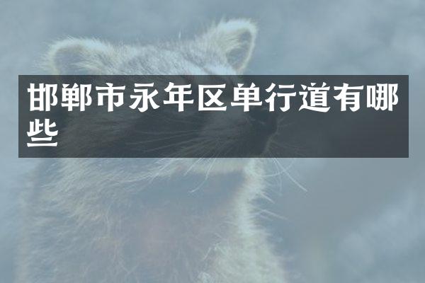 邯郸市永年区单行道有哪些