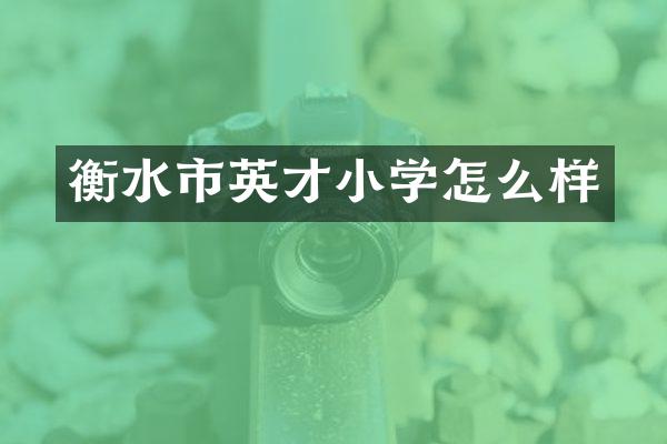 衡水市英才小学怎么样