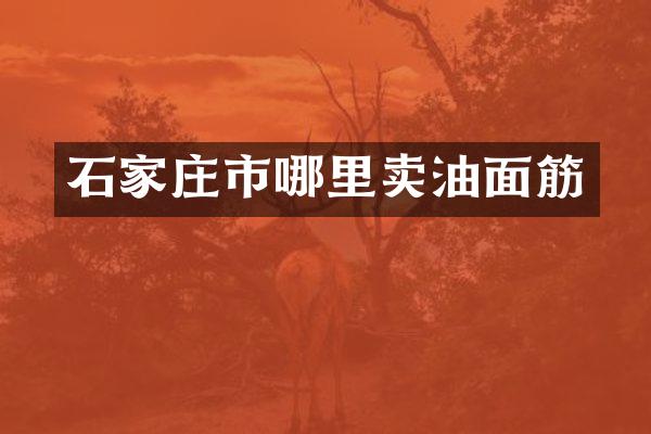 石家庄市哪里卖油面筋