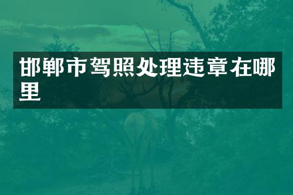 邯郸市驾照处理违章在哪里