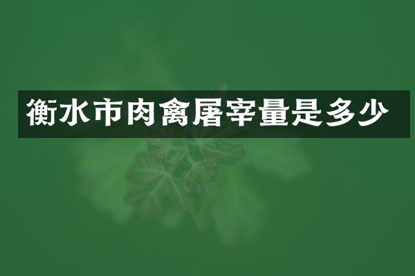 衡水市肉禽屠宰量是多少