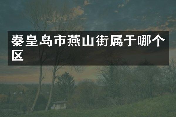 秦皇岛市燕山街属于哪个区