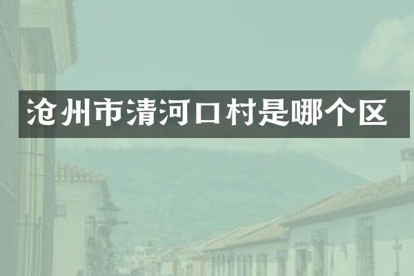 沧州市清河口村是哪个区