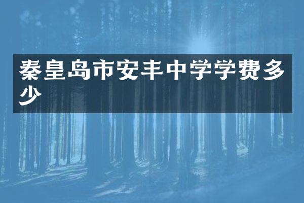 秦皇岛市安丰中学学费多少