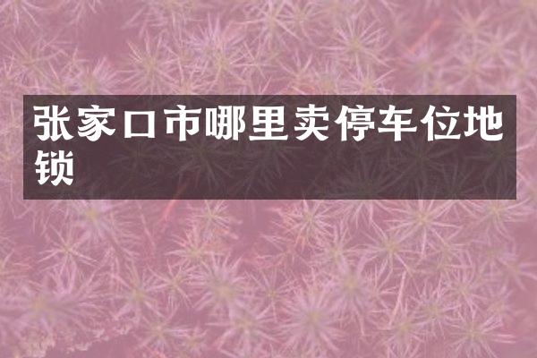 张家口市哪里卖停车位地锁