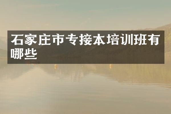 石家庄市专接本培训班有哪些