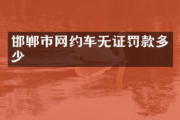 邯郸市网约车无证罚款多少