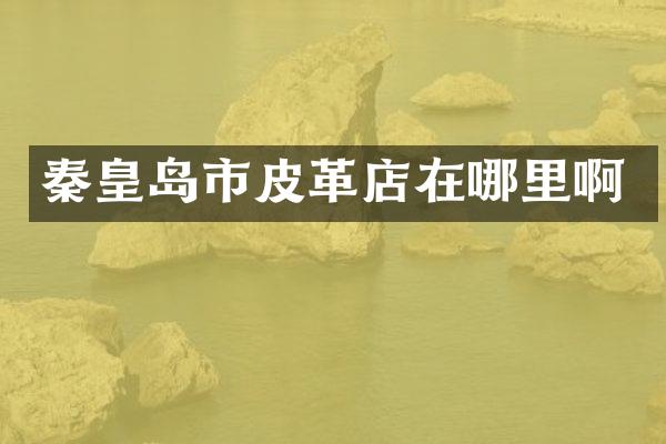 秦皇岛市皮革店在哪里啊