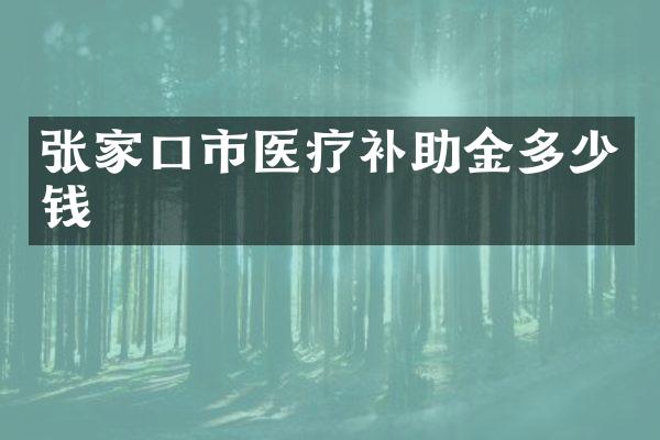 张家口市医疗补助金多少钱