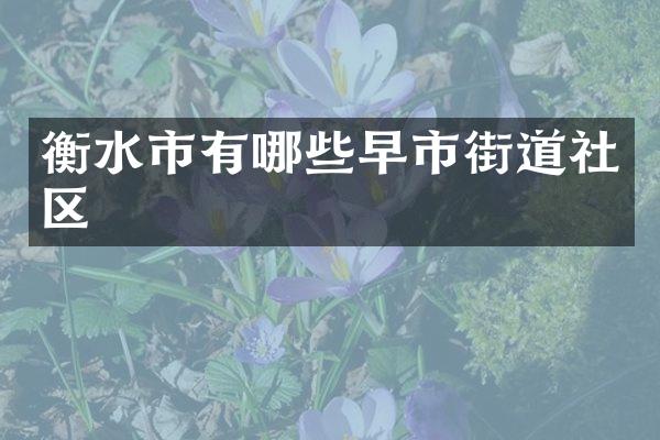 衡水市有哪些早市街道社区