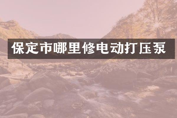 保定市哪里修电动打压泵