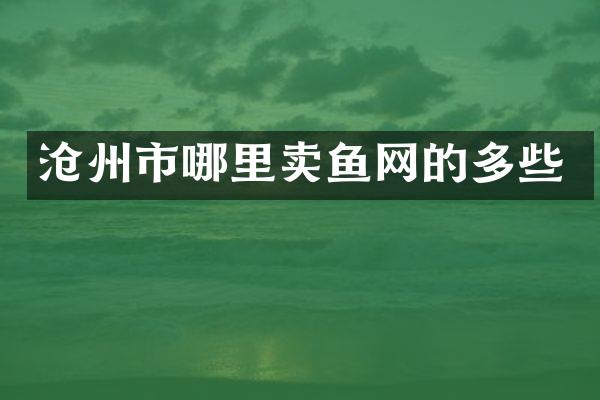 沧州市哪里卖鱼网的多些