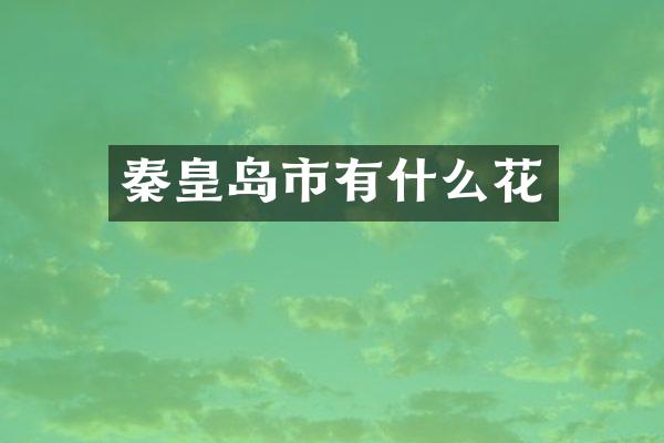 秦皇岛市有什么花