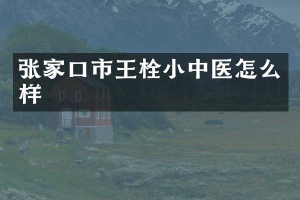 张家口市王栓小中医怎么样