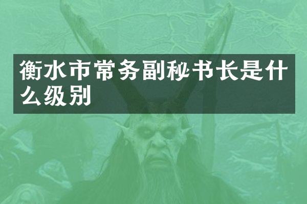 衡水市常务副秘书长是什么级别
