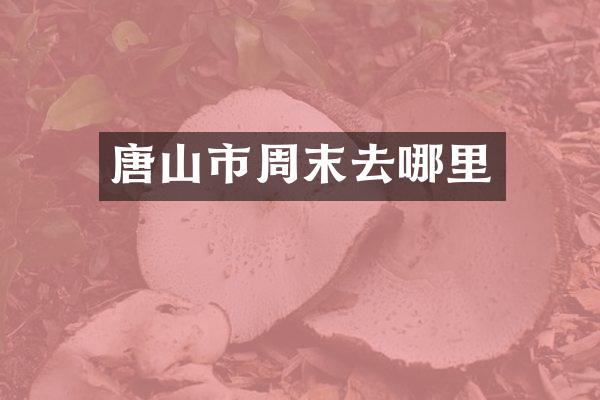 唐山市周末去哪里