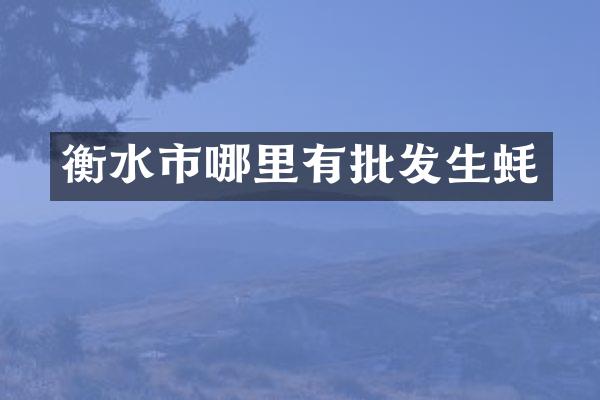 衡水市哪里有批发生蚝