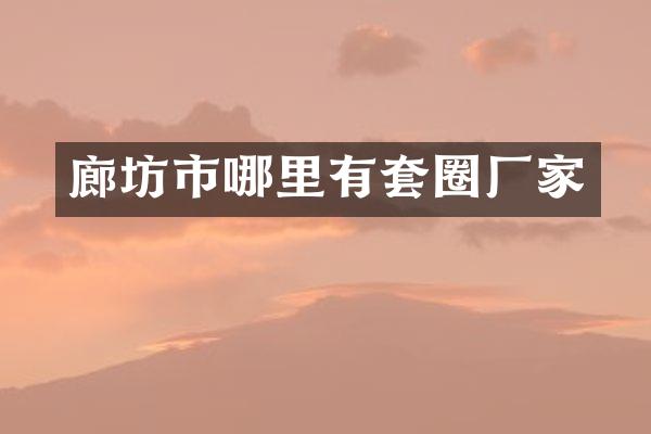 廊坊市哪里有套圈厂家