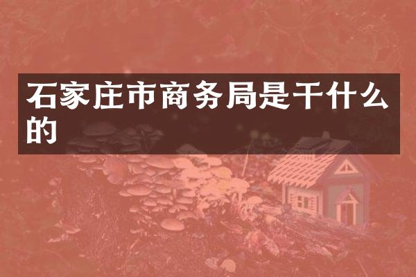 石家庄市商务局是干什么的
