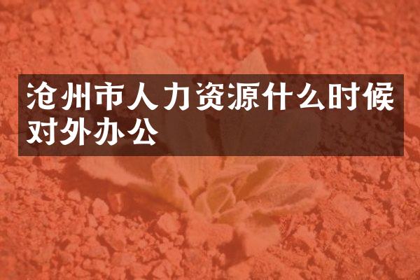 沧州市人力资源什么时候对外办公