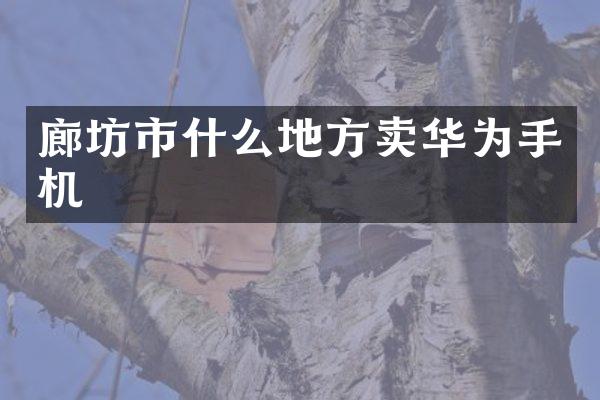 廊坊市什么地方卖华为手机