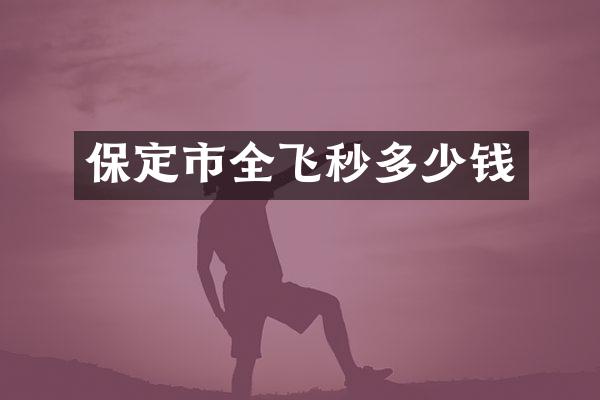保定市全飞秒多少钱