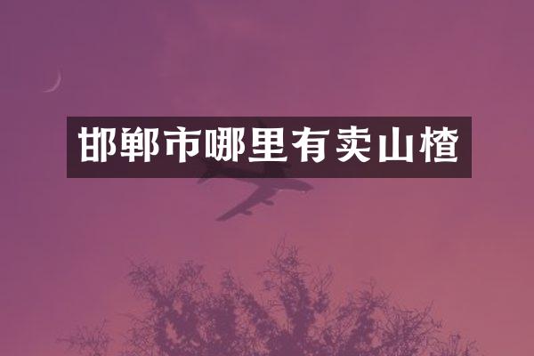 邯郸市哪里有卖山楂