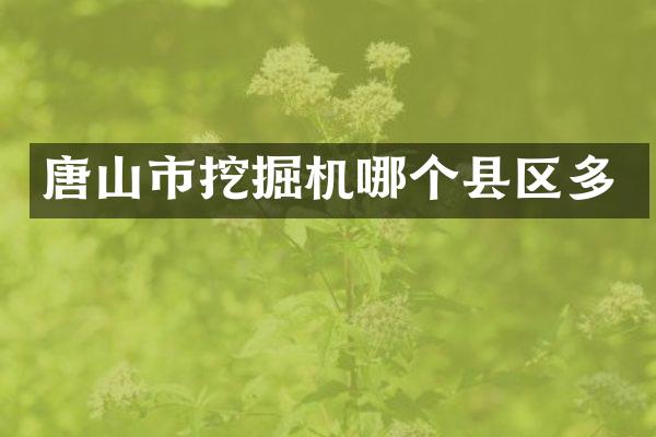 唐山市挖掘机哪个县区多