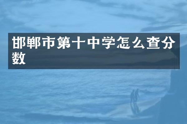 邯郸市第十中学怎么查分数