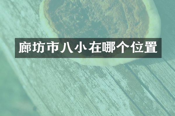 廊坊市八小在哪个位置